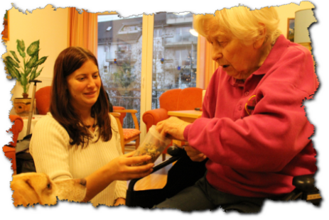 Seniorenarbeit mit Besuchshund