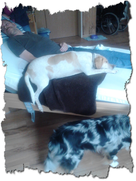 Wachkomapatient mit Besuchshund